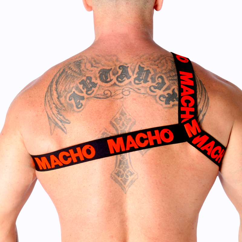 MACHO - HARNAIS ROMAIN BLANC S/M