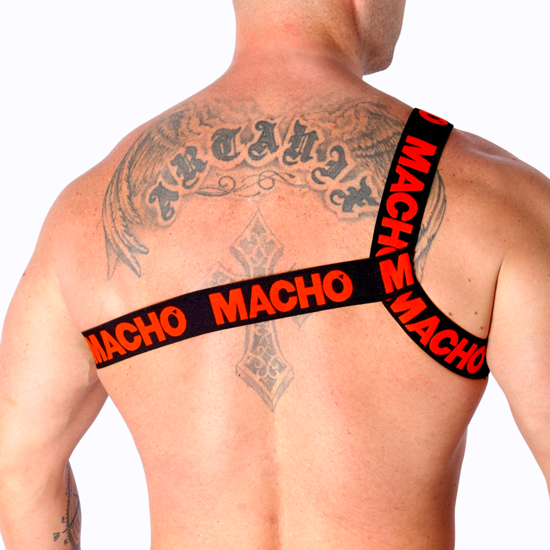 MACHO - HARNAIS ROMAIN BLANC S/M